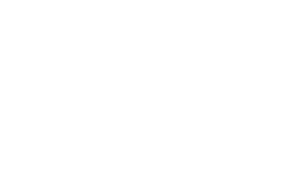 MVLX PHYGTAL LABS